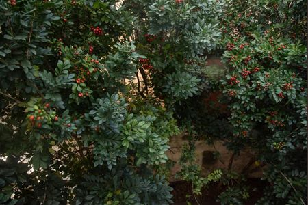 Casa para alugar com 250m², 4 quartos e 2 vagasVista da Suíte