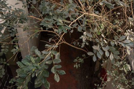 Casa para alugar com 250m², 4 quartos e 2 vagasVista do Quarto 1