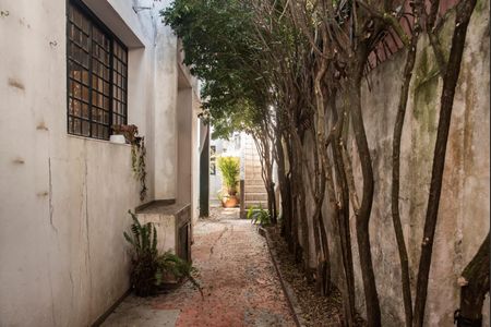 Casa para alugar com 250m², 4 quartos e 2 vagasQuintal