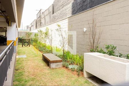 Apartamento à venda com 66m², 3 quartos e 1 vaga Apartamento à venda com 66m², 3 quartos e 1 vagaÁrea comum - Espaço Pet