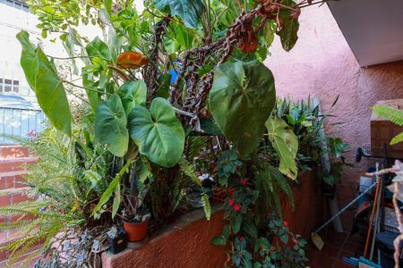 Casa à venda com 280m², 4 quartos e 4 vagas Casa à venda com 280m², 4 quartos e 4 vagasEntrada e jardim