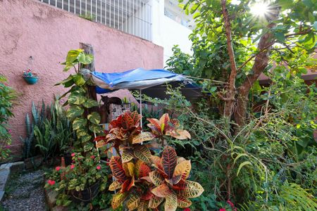 Casa à venda com 280m², 4 quartos e 4 vagas Casa à venda com 280m², 4 quartos e 4 vagasEntrada e jardim