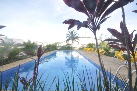 Apartamento à venda com 55m², 2 quartos e 1 vagaÁrea comum - Piscina