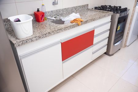 Apartamento para alugar com 48m², 2 quartos e 1 vagaCozinha - Armários