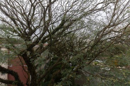 Apartamento à venda com 64m², 2 quartos e 1 vaga Apartamento à venda com 64m², 2 quartos e 1 vagaVista do Quarto 2