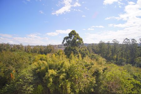 Apartamento à venda com 50m², 2 quartos e 1 vagaVista do Quarto 2