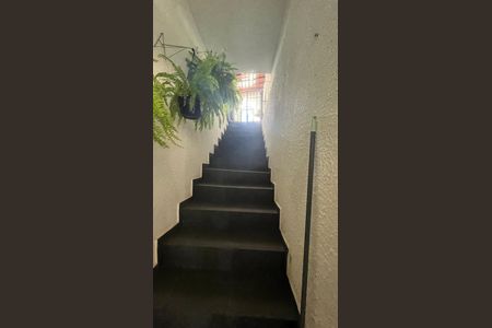 Casa à venda com 245m², 6 quartos e 3 vagas Casa à venda com 245m², 6 quartos e 3 vagasEscada