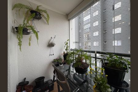 Apartamento à venda com 67m², 3 quartos e 1 vaga Apartamento à venda com 67m², 3 quartos e 1 vagaSacada