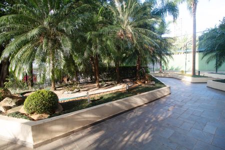 Apartamento para alugar com 72m², 3 quartos e 1 vaga Apartamento para alugar com 72m², 3 quartos e 1 vagaÁrea comum