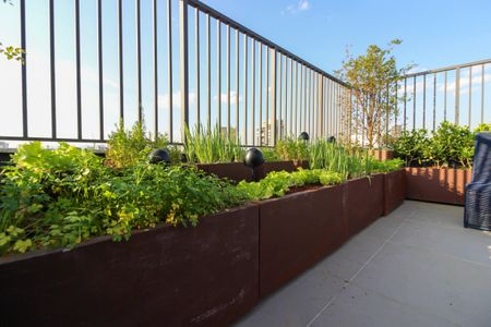 Studio para alugar com 24m², 1 quarto e sem vaga Studio para alugar com 24m², 1 quarto e sem vagaÁrea comum - Terraço/Churrasqueria 3