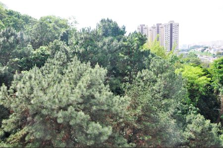 Vista da Sala de apartamento para alugar com 2 quartos, 35m² em Vila Pirituba, São Paulo