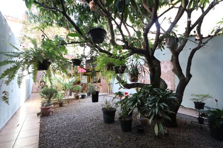 Casa à venda com 260m², 4 quartos e 2 vagasQuintal Ajardinado