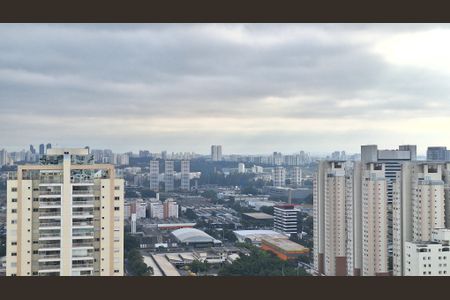 Apartamento para alugar com 500m², 4 quartos e 6 vagasVista da Cobertura