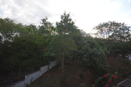 Apartamento para alugar com 50m², 2 quartos e 1 vagaVista do Quarto 1