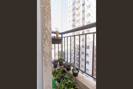 Varanda de apartamento para alugar com 2 quartos, 34m² em Cidade Patriarca, São Paulo