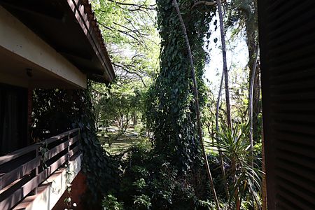 Casa para alugar com 338m², 5 quartos e 4 vagasVista do Quarto 1