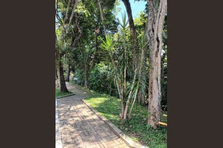 Casa à venda com 3 quartos, 232m² em Vila Albano, São Paulo