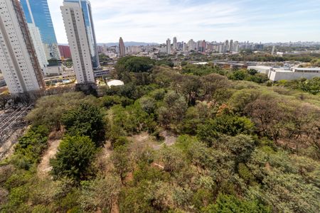 Vista da Sacada da Sala de apartamento para alugar com 1 quarto, 28m² em Parque Industrial Tomas Edson, São Paulo