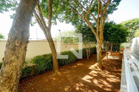 Apartamento à venda com 114m², 3 quartos e 2 vagas Apartamento à venda com 114m², 3 quartos e 2 vagasÁrea comum - Espaço Pet