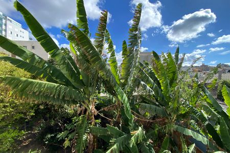 Vista da Sala de apartamento à venda com 2 quartos, 65m² em Sagrada Família, Belo Horizonte