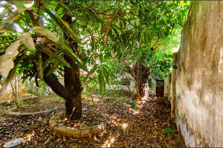 Casa à venda com 170m², 2 quartos e 2 vagas Casa à venda com 170m², 2 quartos e 2 vagasÁrea externa