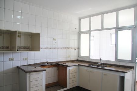 Apartamento à venda com 240m², 5 quartos e 2 vagasCozinha