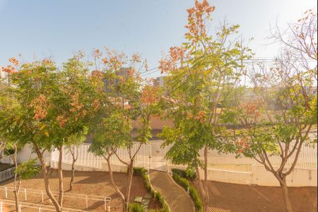Vista do Quarto 1 de apartamento para alugar com 2 quartos, 56m² em Jardim Ipaussurama, Campinas