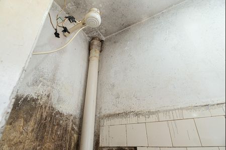 Apartamento à venda com 86m², 2 quartos e sem vaga Apartamento à venda com 86m², 2 quartos e sem vagaBanheiro de Serviço