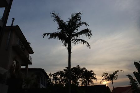 Casa de condomínio para alugar com 484m², 4 quartos e 3 vagasÁrea Externa