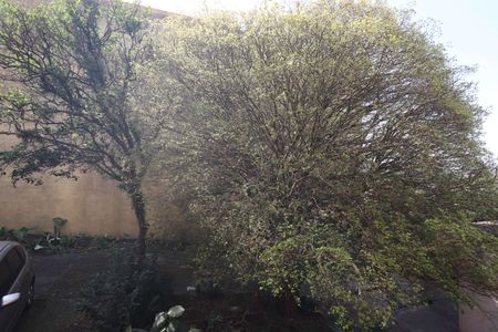 Casa à venda com 800m², 3 quartos e 8 vagasVista Quarto 2