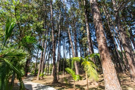 Casa de condomínio à venda com 300m², 4 quartos e 4 vagasMercado