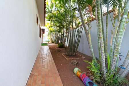 Casa para alugar com 1000m², 4 quartos e 6 vagasQuintal