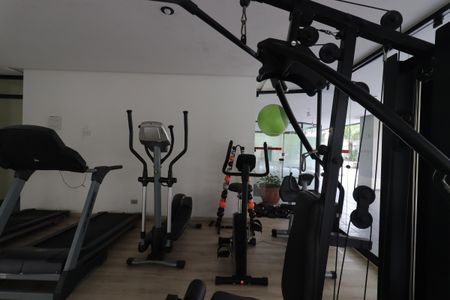 Apartamento para alugar com 74m², 2 quartos e 1 vagaÁrea Comum - Academia