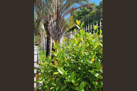 Apartamento à venda com 43m², 2 quartos e 1 vaga