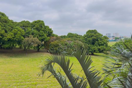 Vista da Sala de apartamento para alugar com 2 quartos, 58m² em Jardim Califórnia, Jacareí