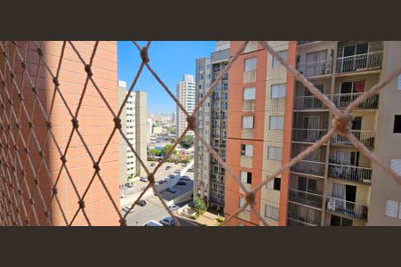 Vista Varanda Sala de apartamento à venda com 3 quartos, 62m² em Cambuci, São Paulo