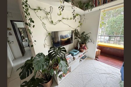 Foto 04 de apartamento à venda com 2 quartos, 50m² em Ipiranga, São Paulo