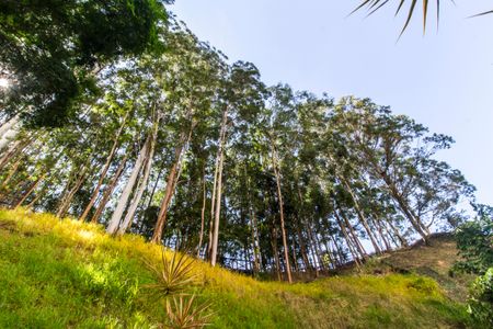 Apartamento à venda com 100m², 3 quartos e 2 vagasVista