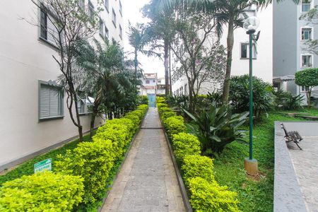 Apartamento para alugar com 65m², 3 quartos e 1 vaga Apartamento para alugar com 65m², 3 quartos e 1 vagaÁrea Verde