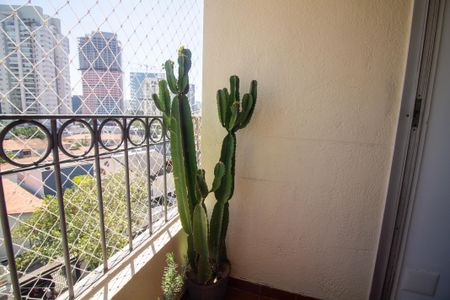 Apartamento à venda com 72m², 3 quartos e 1 vagaTerraço