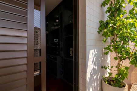 Apartamento à venda com 216m², 3 quartos e 4 vagasVaranda da Sala de Visitas