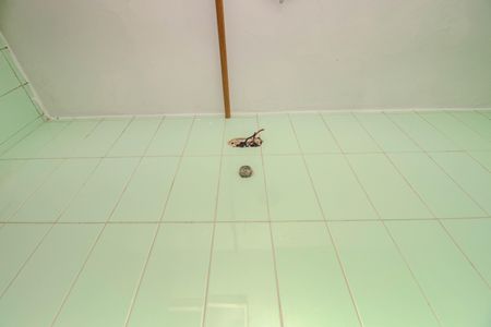 Apartamento para alugar com 86m², 2 quartos e sem vagaBanheiro de Serviço