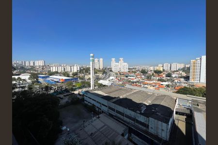 Vista de apartamento para alugar com 1 quarto, 45m² em Vila Sônia, São Paulo