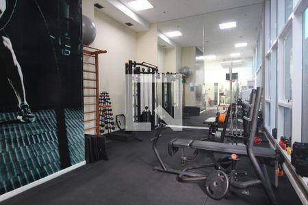 Apartamento à venda com 72m², 2 quartos e 1 vaga Apartamento à venda com 72m², 2 quartos e 1 vagaÁrea comum - Academia