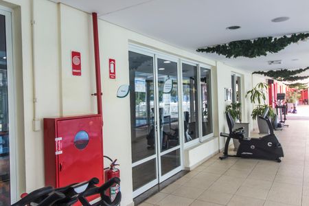 Apartamento à venda com 113m², 3 quartos e 2 vagasÁrea comum