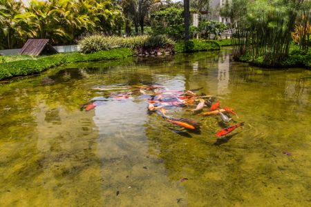 Apartamento à venda com 113m², 3 quartos e 2 vagasÁrea comum