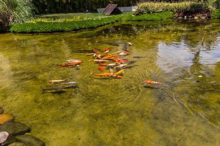 Apartamento à venda com 113m², 3 quartos e 2 vagasÁrea comum