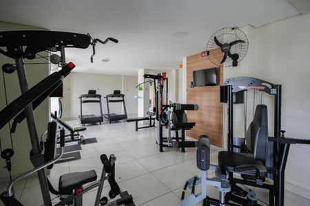 Apartamento à venda com 57m², 2 quartos e 1 vaga Apartamento à venda com 57m², 2 quartos e 1 vagaÁrea comum - Academia