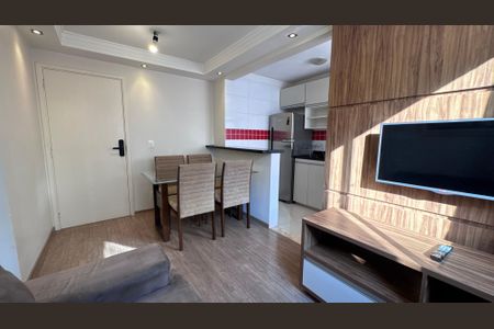 Sala de apartamento para alugar com 2 quartos, 52m² em Jardim Nova Europa, Campinas
