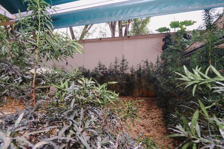 Apartamento à venda com 72m², 2 quartos e 2 vagasVista da Suíte